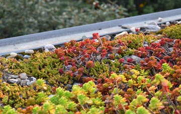 the cost of Hisomley green roof installation