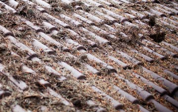 Hisomley roof cleaning companies